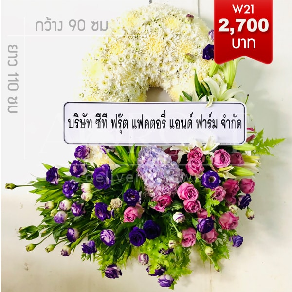 My Image 35