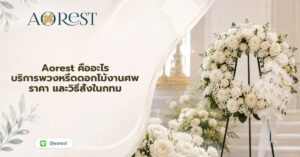 หน้าแรก 49 aorest พวงหรีด ราคา