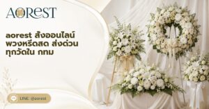 หน้าแรก 54 aorest สั่งออนไลน์