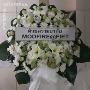 หน้าแรก 34 aorestwreath 1144